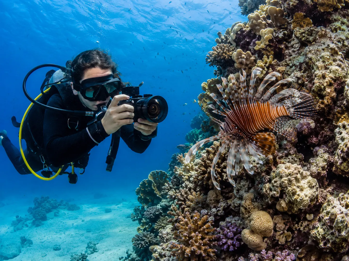 Plongeur photographe devant un récif corallien à Hurghada
